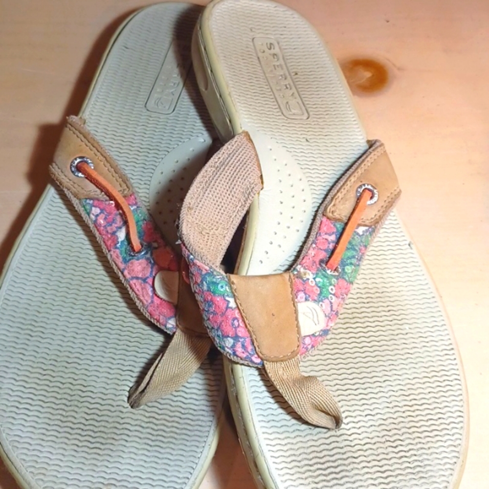 Sperry flipflop